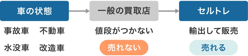 セルトレは海外に販売している